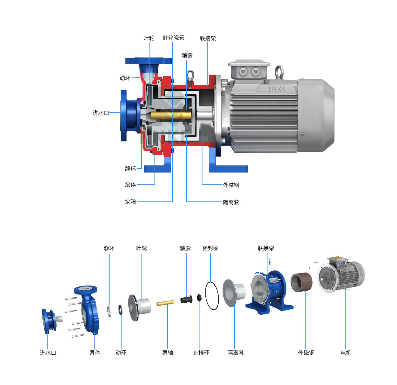 氟塑料磁力驅動泵結構圖.png